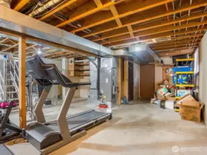 Unfinished basement