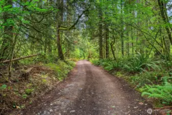 Home is Tucked away, yet just minutes to shopping, dining, schools, parks and all major freeways and highways.