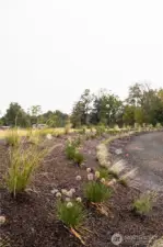 Beautiful berm