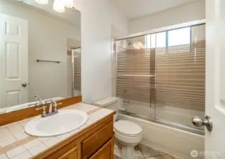 Lower level full bath