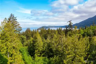 View surrounded by nature