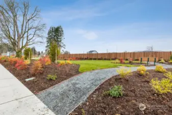 Community Park #1/Benches/ Picnic Table