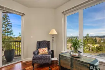 Office/flex room with a view