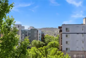 Views from unit