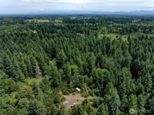 Close to Mount Rainier!