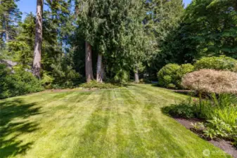 Amazing mature trees provide an estate like feel for this property.