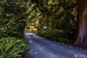View of driveway back to the entry gate.