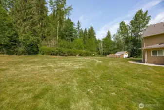 Back yard