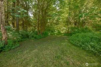 Wooded paths