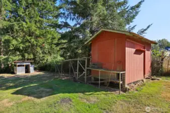 Chicken coop and enclosure
