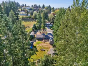 Back 20' (approx) of property is wooded.