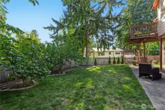 Lawn for backyard fun and games.