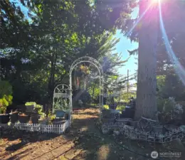 A glorious day! This lot comes with a HUGE yard!