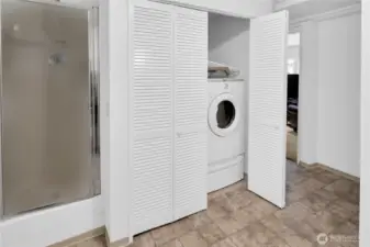 Laundry hook ups and third shower in  lower level bathroom.