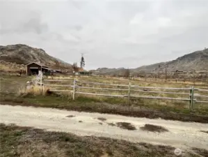 pasture
