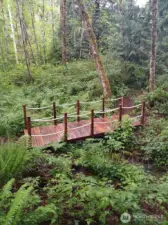 New bridge over the creek to the south trails