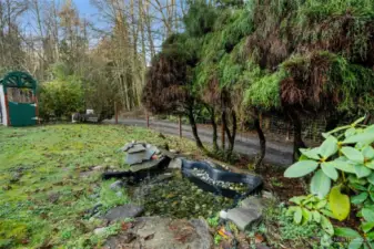 Waterfall in yard pond