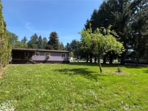 Large back yard