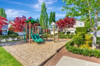 Community park  two houses away