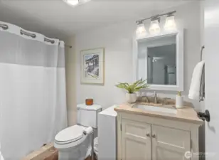 2nd bath/guest bath,  Walk in shower