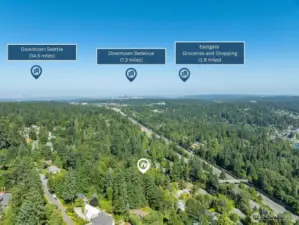West View: Enjoy the best of both worlds with quick access to Downtown Bellevue and Seattle, all while living in a quiet, tree-lined residential retreat.