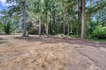 These are just some of the beautiful trees throughout the this amazing property.