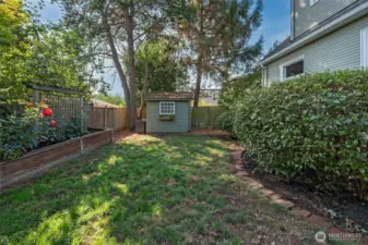 Backyard and Shed