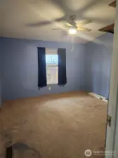 Bedroom 1 with updated Ceiling Fan. Some paint spills on carpet.