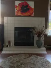 Looking into the adjacent library/office area with cozy wood burning insert.