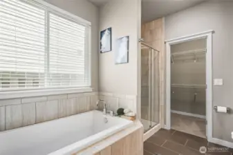 Walk in closet off the end of the 5-piece bath