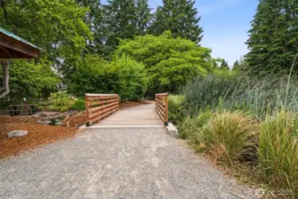Walking Trails in the Park