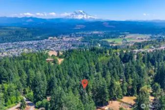 As you drive up the secluded road lined with trees you can feel the serenity. The property sits amongst million dollar homes each on large lots providing plenty of privacy.