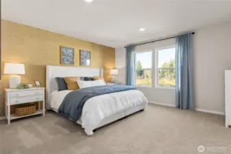 Primary large enough for any bed needs, Photo not of actual home. This is another home in the community of the same plan and style.