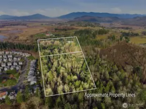 Approximate property lines for both parcels