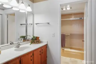 Primary Bathroom/tub and shower