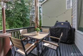 Patio area off dining room