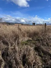 Fence line on east side of property