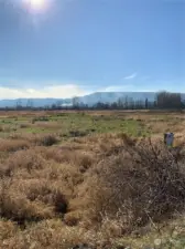 West front corner of property looking toward the Oregon Hills