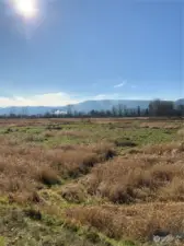 West front corner of property looking toward the Oregon Hills