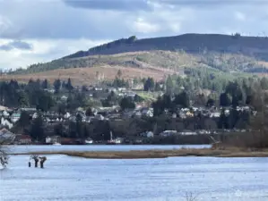 View of lovely Cathlamet from the property