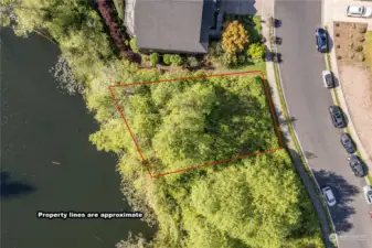 Property Basic Layout