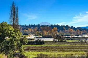 View from rooftop deck, Mount Rainier