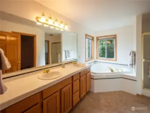 Primary bathroom with large tub