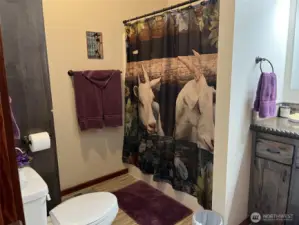 Master bath 1