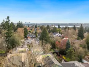 You can see the Seattle City Skyline from the rooftop deck.