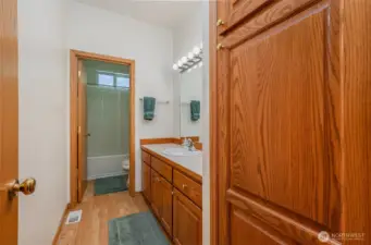 Separate water closet houses toilet and shower/tub.