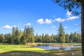 View from back of property