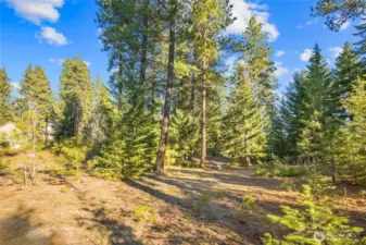 Homesite receives southeast sunlight