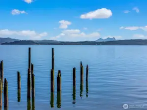 Pilings to tie your boat up to during Salmon and crabbing season.