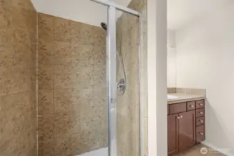 Primary bath shower